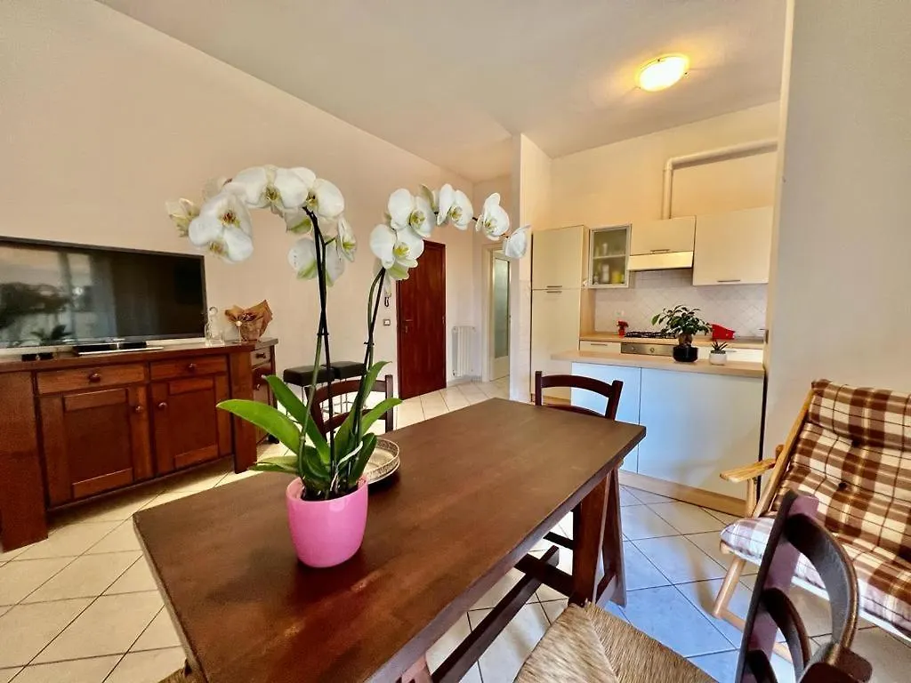 Viareggio On The Beach - Apartment 0*,  Italia